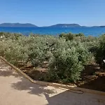 Dardiza Hotel *