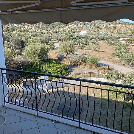 Hotel Dardiza *