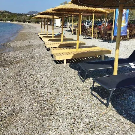 Hotel Dardiza *