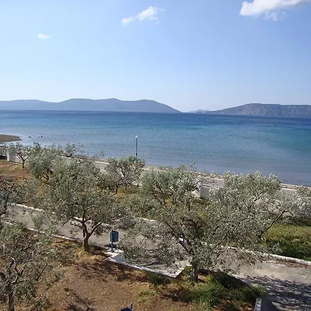 Hotel Dardiza