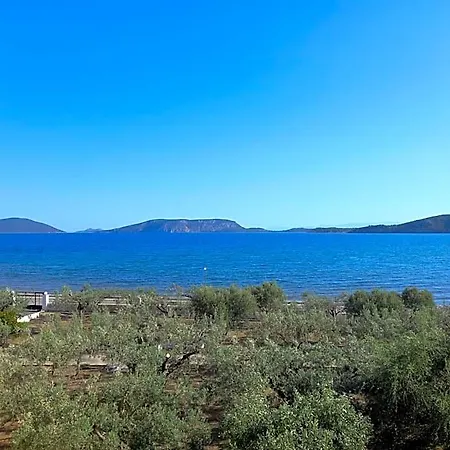 Hotel Dardiza *
