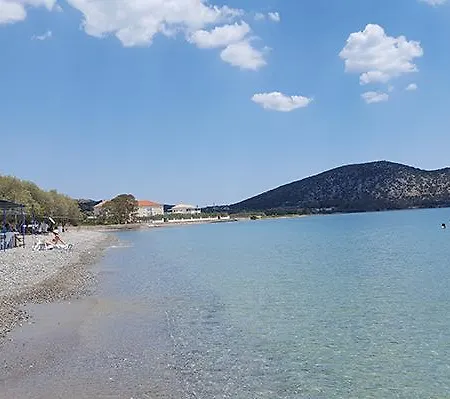 Hotel Dardiza *