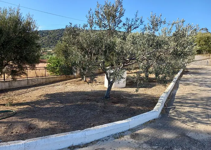 Hotel Dardiza Hermione