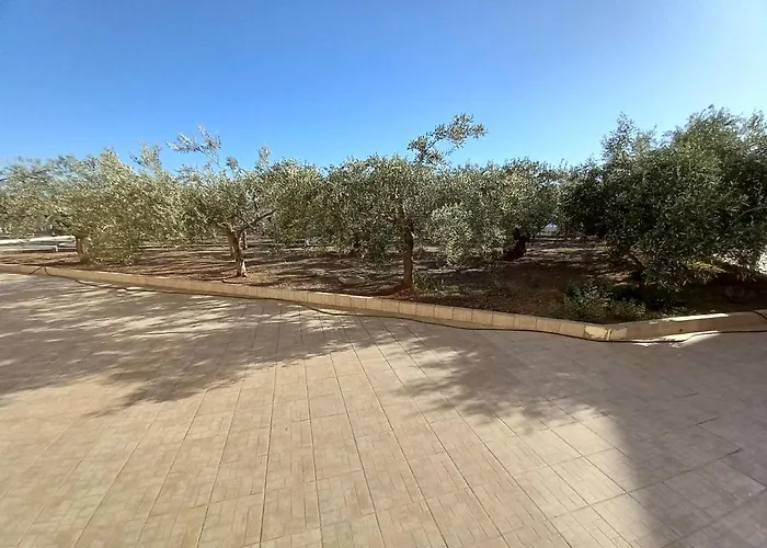 Hotel Dardiza Hermione